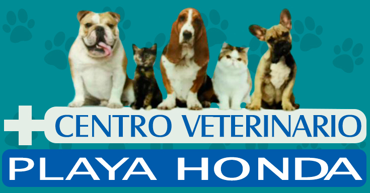 Centro Veterinario Playa Honda logo